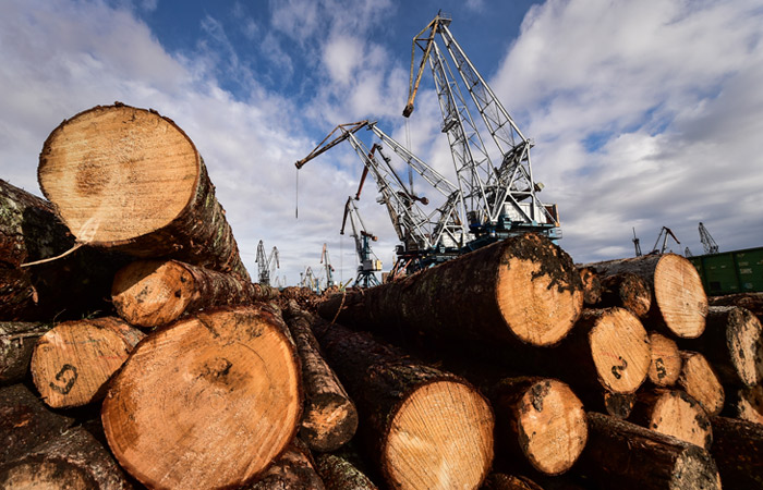 Вологодчина увеличила экспорт лесоматериалов в Китай