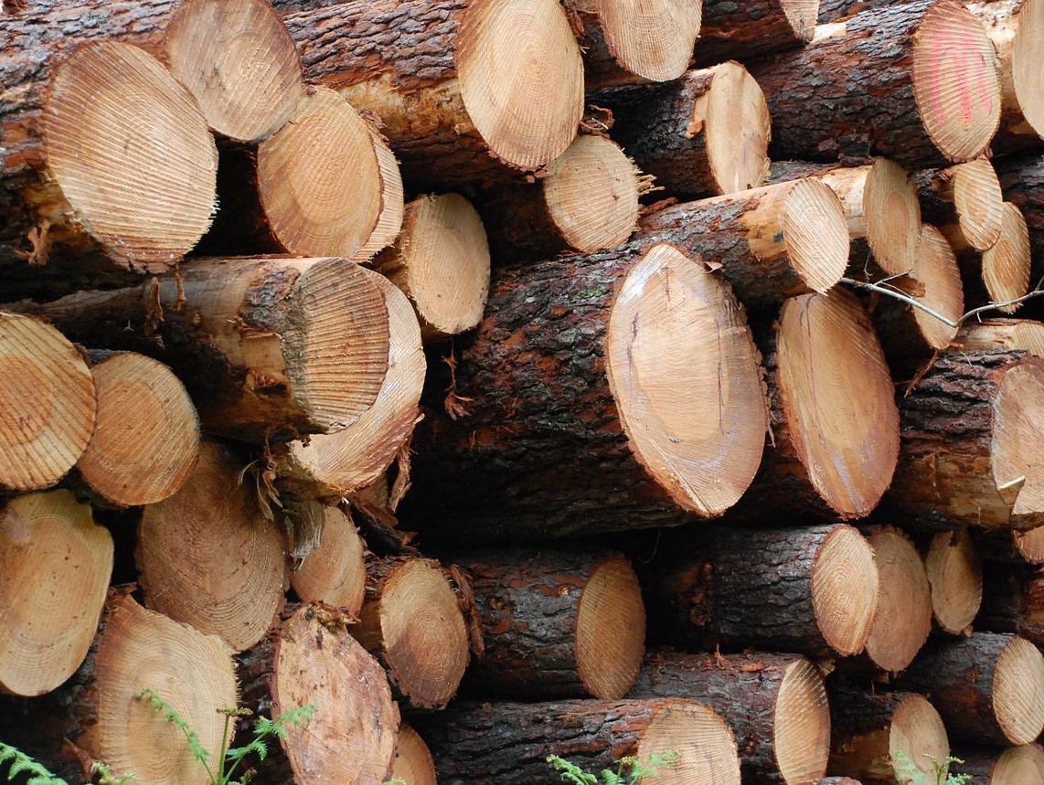 Амурская область поставила на международные рынки 230 000 м3 лесопродукции