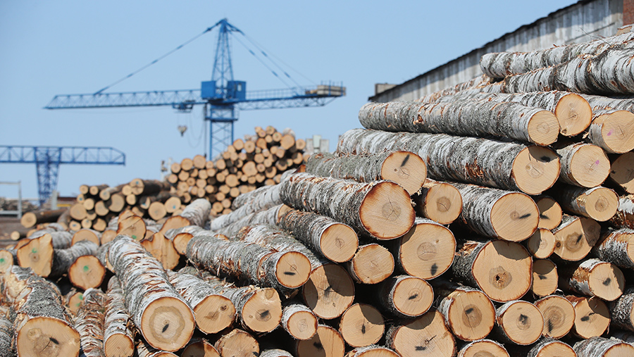 Объемы экспорта древесины снизились в 2022 году