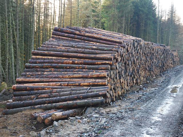 Более 111 000 м3 лесоматериалов экспортировано из Пермского края в Китай