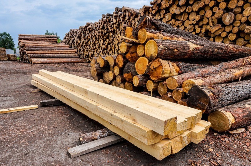 Из Тверской области отправили на экспорт 23 тыс. м3 лесоматериалов