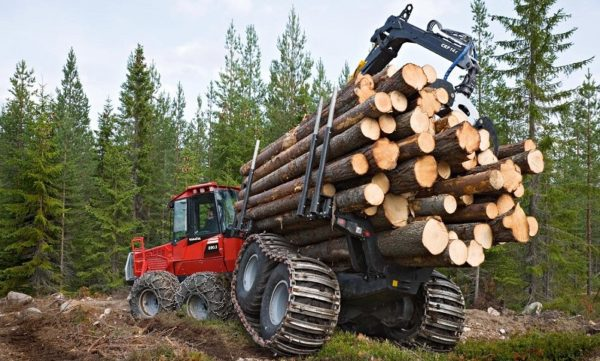 Севлеспроект опубликовал данные по объемам лесозаготовки за прошлый год