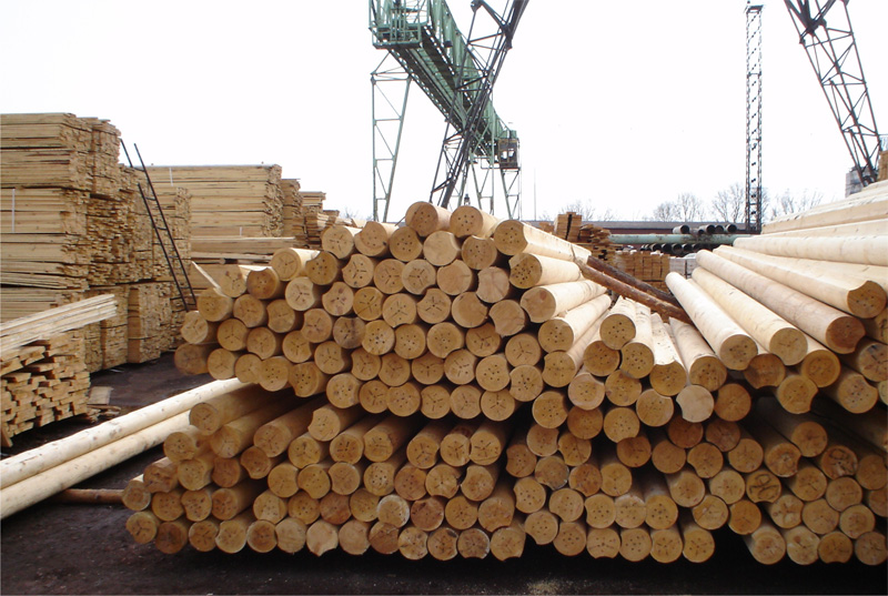 РФ увеличивает объемы поставок лесопродукции в восточные страны