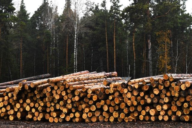 Удмуртия в прошлом году поставила в 2,5 раза больше лесопродукции